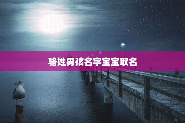 骆姓男孩名字宝宝取名