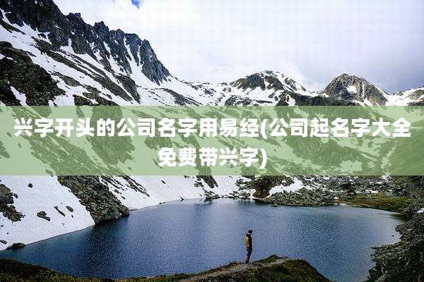 兴字开头的公司名字用易经(公司起名字大全免费带兴字)