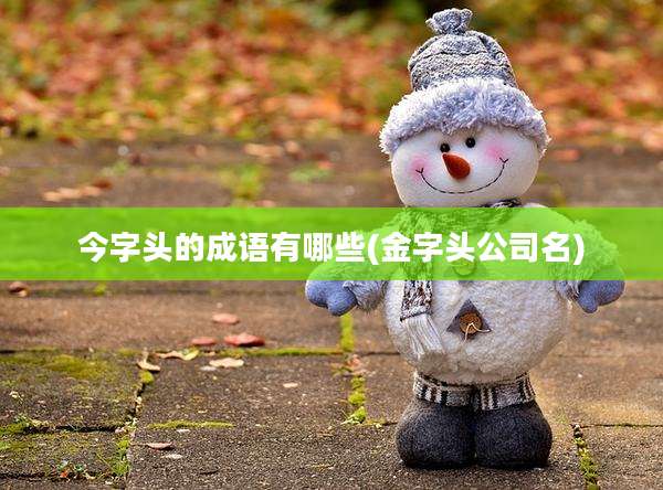 今字头的成语有哪些(金字头公司名)