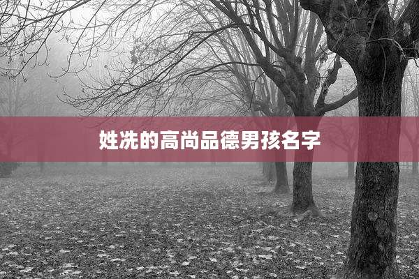 姓冼的高尚品德男孩名字