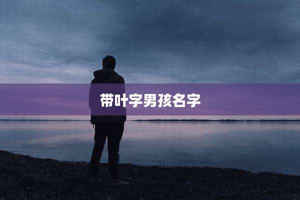 带叶字男孩名字