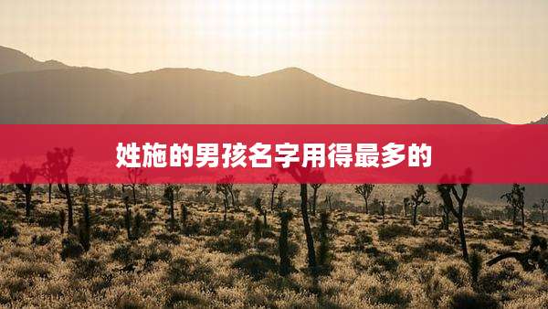 姓施的男孩名字用得最多的