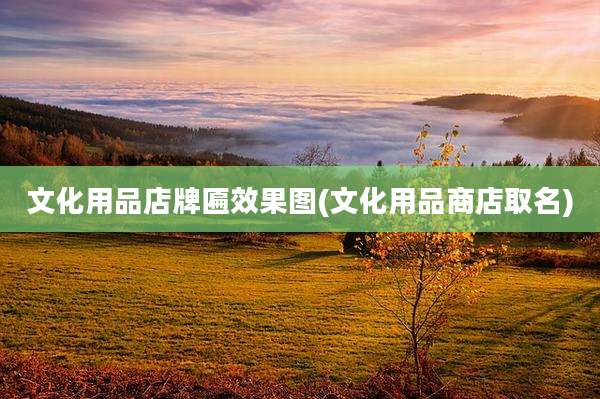 文化用品店牌匾效果图(文化用品商店取名)