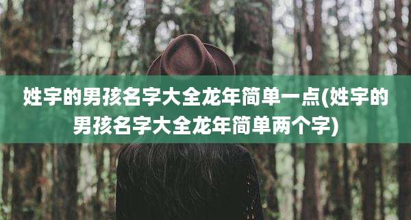 姓宇的男孩名字大全龙年简单一点(姓宇的男孩名字大全龙年简单两个字)