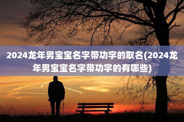 2024龙年男宝宝名字带功字的取名(2024龙年男宝宝名字带功字的有哪些)