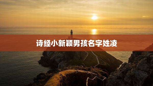 诗经小新颖男孩名字姓凌