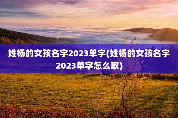 姓杨的女孩名字2023单字(姓杨的女孩名字2023单字怎么取)