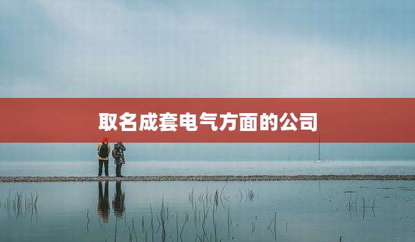 取名成套电气方面的公司