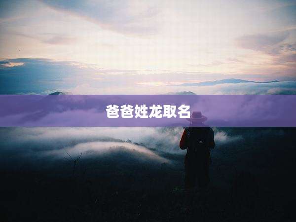 爸爸姓龙取名