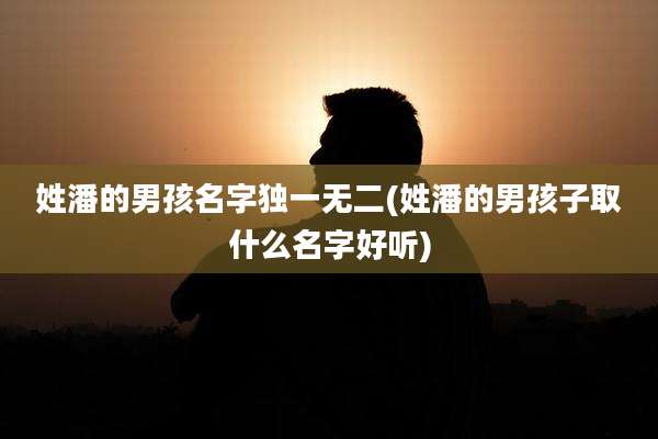 姓潘的男孩名字独一无二(姓潘的男孩子取什么名字好听)