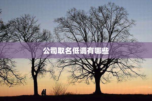 公司取名低调有哪些