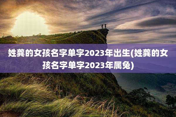 姓龚的女孩名字单字2023年出生(姓龚的女孩名字单字2023年属兔)
