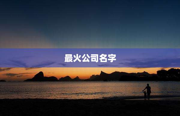 最火公司名字