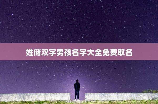 姓储双字男孩名字大全免费取名