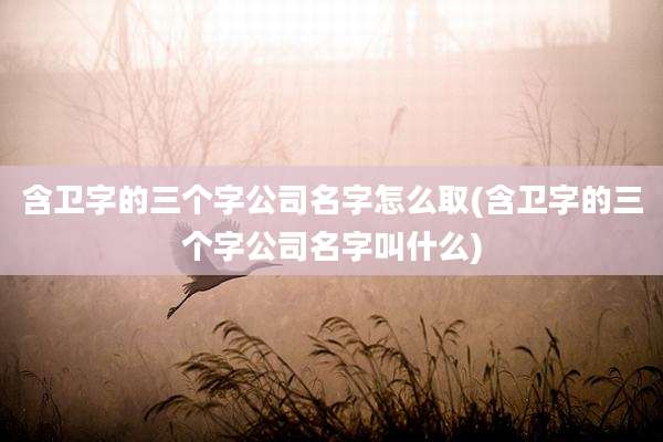 含卫字的三个字公司名字怎么取(含卫字的三个字公司名字叫什么)
