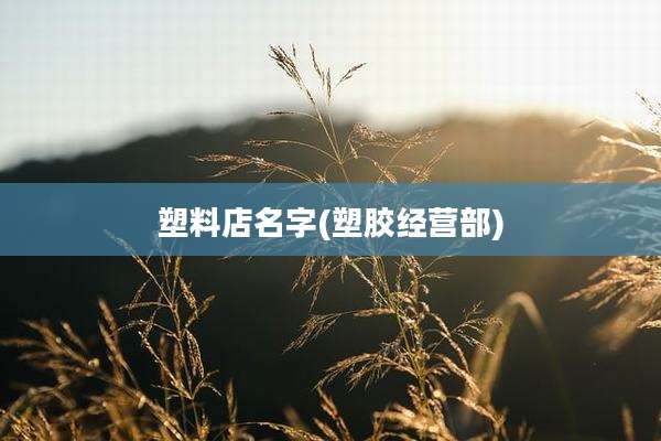 塑料店名字(塑胶经营部)