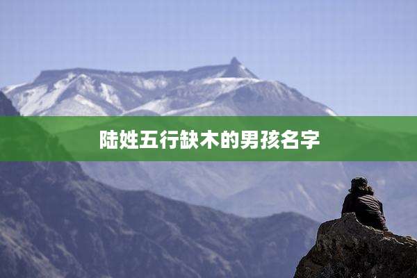 陆姓五行缺木的男孩名字