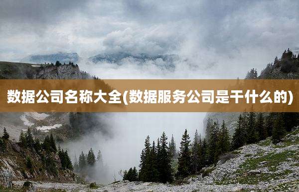 数据公司名称大全(数据服务公司是干什么的)