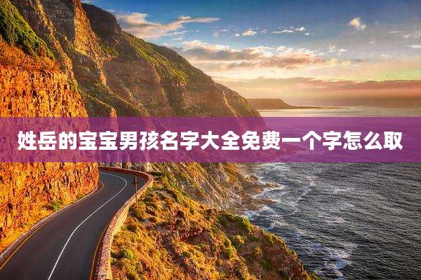 姓岳的宝宝男孩名字大全免费一个字怎么取