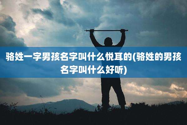 骆姓一字男孩名字叫什么悦耳的(骆姓的男孩名字叫什么好听)