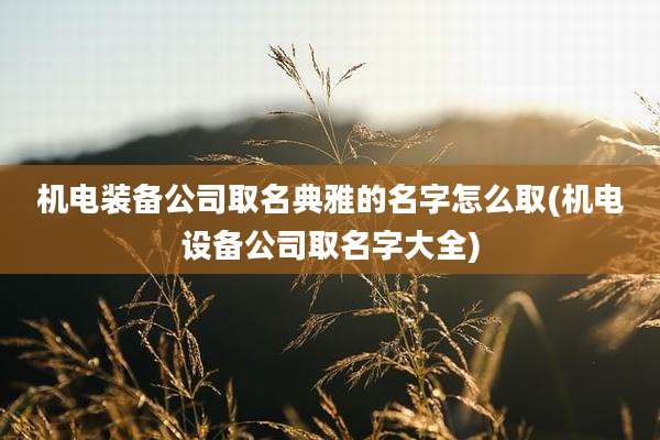 机电装备公司取名典雅的名字怎么取(机电设备公司取名字大全)
