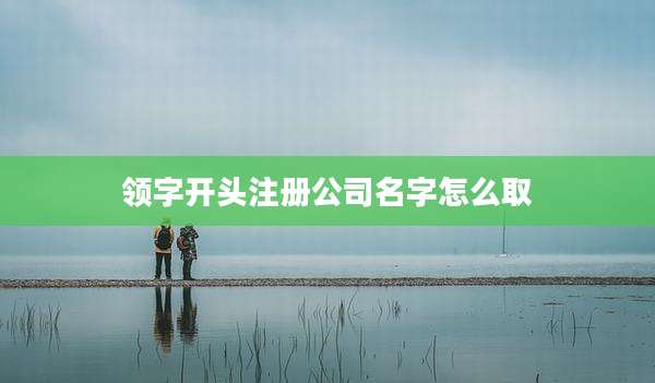领字开头注册公司名字怎么取
