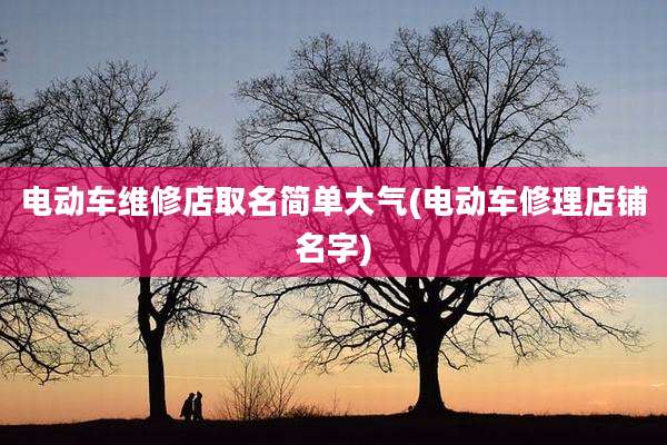 电动车维修店取名简单大气(电动车修理店铺名字)