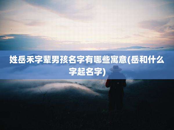 姓岳禾字辈男孩名字有哪些寓意(岳和什么字起名字)
