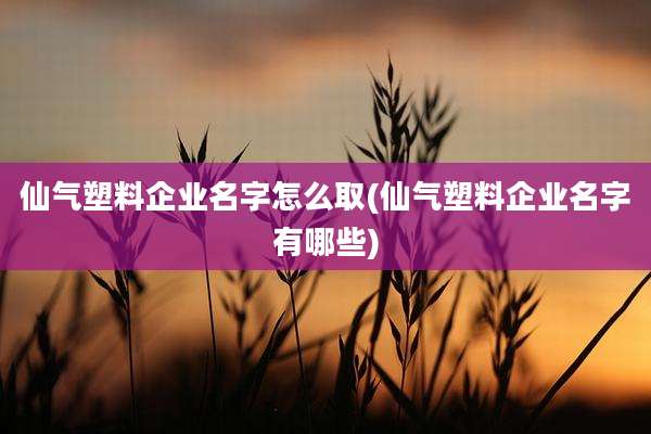 仙气塑料企业名字怎么取(仙气塑料企业名字有哪些)
