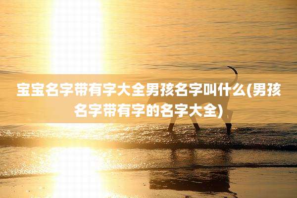 宝宝名字带有字大全男孩名字叫什么(男孩名字带有字的名字大全)
