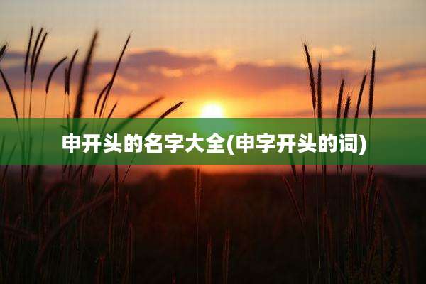 申开头的名字大全(申字开头的词)