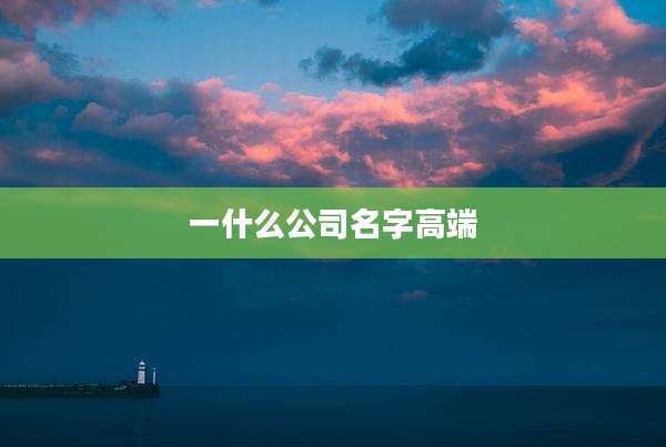 一什么公司名字高端