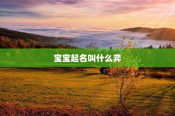 宝宝起名叫什么弈