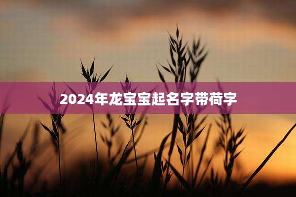 2024年龙宝宝起名字带荷字