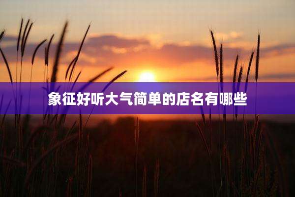 象征好听大气简单的店名有哪些
