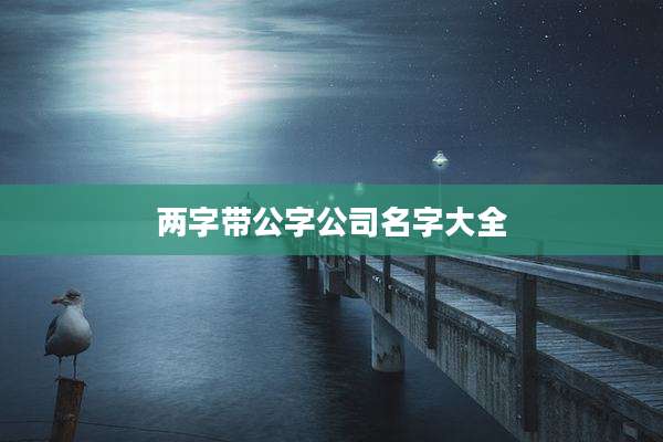 两字带公字公司名字大全