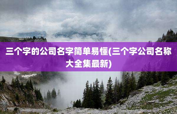 三个字的公司名字简单易懂(三个字公司名称大全集最新)