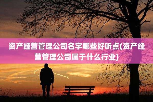 资产经营管理公司名字哪些好听点(资产经营管理公司属于什么行业)