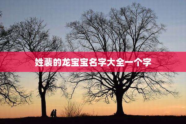 姓裴的龙宝宝名字大全一个字