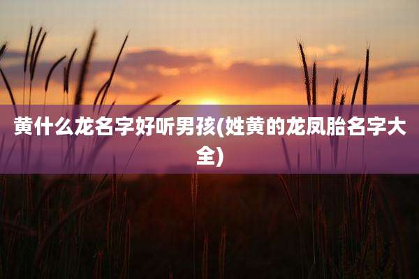 黄什么龙名字好听男孩(姓黄的龙凤胎名字大全)