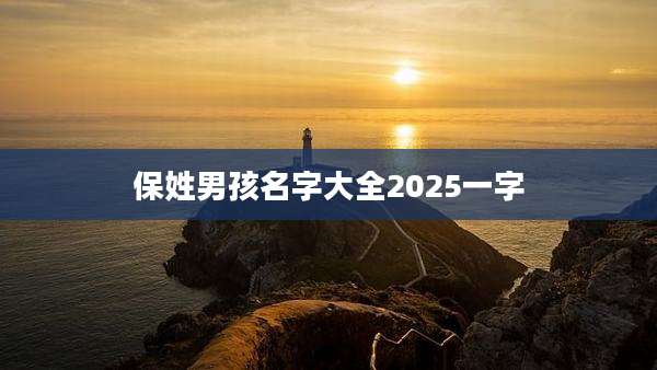 保姓男孩名字大全2025一字