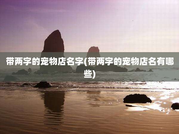 带两字的宠物店名字(带两字的宠物店名有哪些)