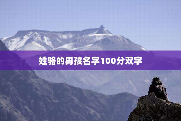 姓骆的男孩名字100分双字