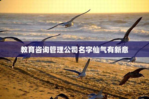 教育咨询管理公司名字仙气有新意
