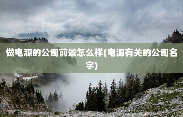 做电源的公司前景怎么样(电源有关的公司名字)