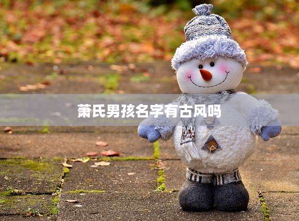 萧氏男孩名字有古风吗