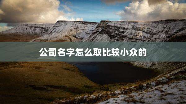 公司名字怎么取比较小众的