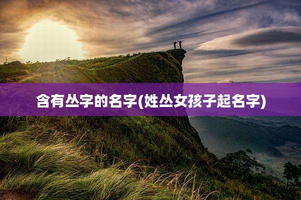 含有丛字的名字(姓丛女孩子起名字)