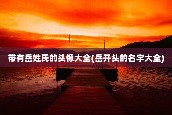 带有岳姓氏的头像大全(岳开头的名字大全)