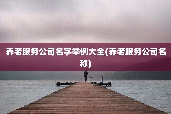 养老服务公司名字举例大全(养老服务公司名称)